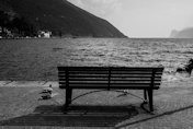 CLICCARE SULLA MINIATURA PER INGRANDIRE L'IMMAGINE